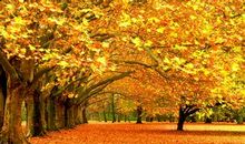 描写深秋天气的句子