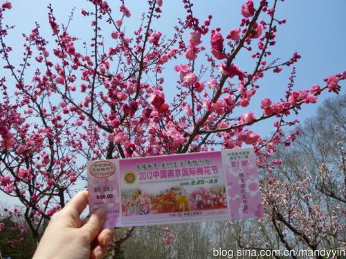 描述梅花的比喻句