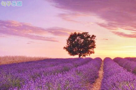 豆阴非主流句子