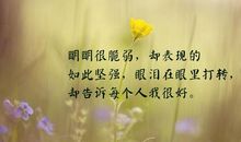 发朋友圈的苦的句子