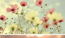 朋友祝福语唯美