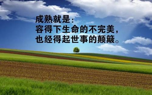 简短而良好的句子