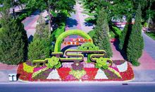 爱绿护绿护自然黑板报内容谚语