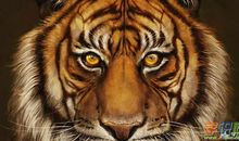 猫咬老虎歇后语