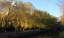 冬天的日光句子