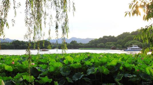 描写夏日风景的古诗