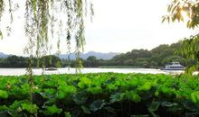 描写夏天景色的古诗