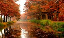 关于初冬的句子