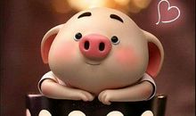 2019搞笑句子越短越好