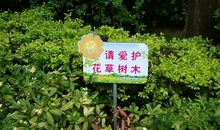 保护树木的英文谚语