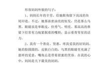 女子外貌的句子