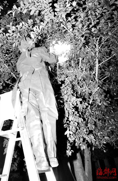 炸毁巢穴的大黄蜂