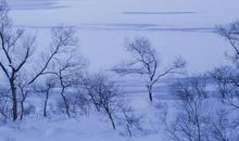 冬天的雪的句子
