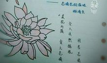 朋友圈好句子摘抄