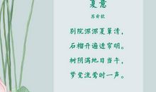 描写夏天的诗句大全