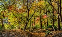 深秋初冬的诗句