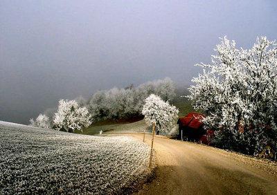 小片段描述冬天