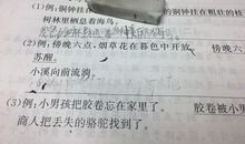拟人句24字