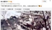 关于玩雪的句子