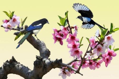 关于喜pies的寓言