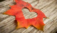 2017人生感悟的句子，感悟人生2017年最新句子