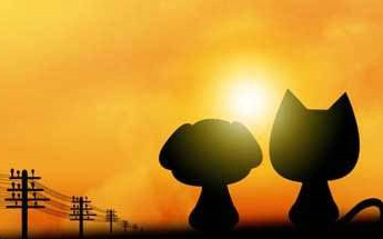 关于爱情的温暖动人的句子谈论情绪[39句子]