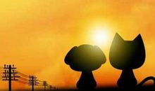 关于爱情温暖感人的句子说说心情【39句】