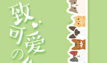 老师毕业寄语一句话小清新