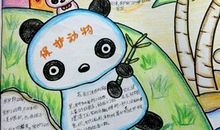 保护森林的谚语