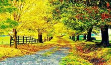 描写秋日美景的诗句