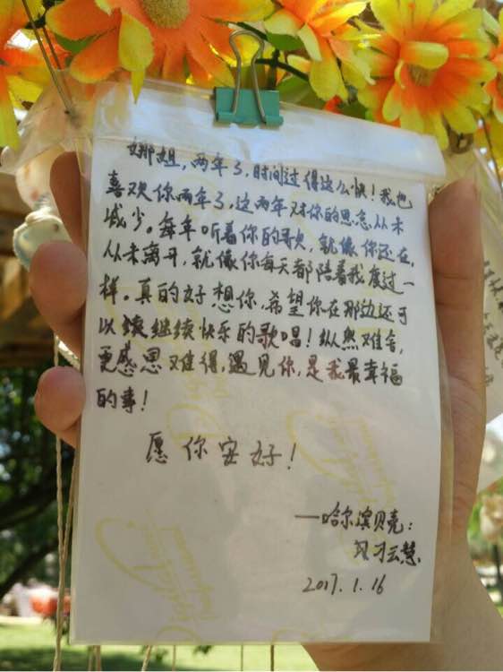 描述外壳形状的句子