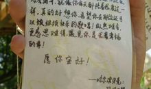 描写贝壳形状的句子