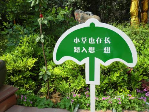 花草树木的口号