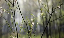 描写初秋的唯美句子