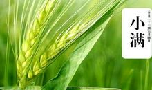 关于植物的谚语