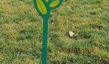 花草树木的标语