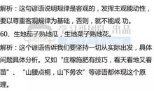 关于哲学的谚语