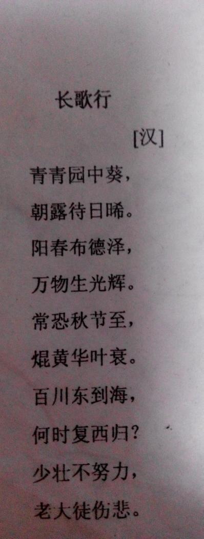 24个单词的经典句子