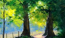 描写夏天景色的古诗句