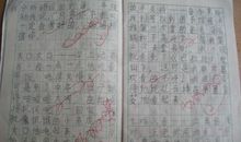 把造句大全二年级