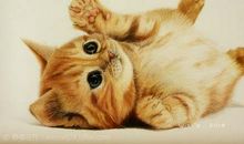 给死人烤火歇后语