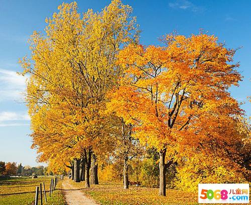 一句话描述秋天的美丽