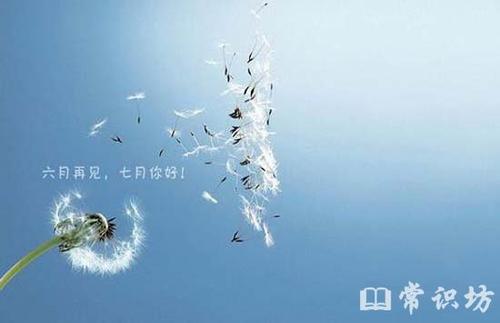 春末夏初的审美句子