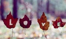 有关爱情的经典语句，有关爱情的哲理句子