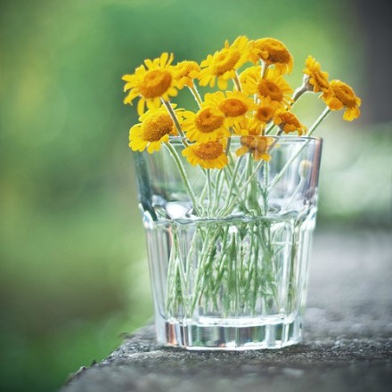 早上好心情充满阳光的句子