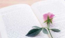 有太多期望，会让自己有太多失望