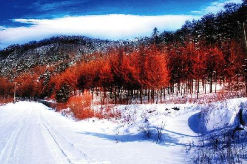 形容学后的句子