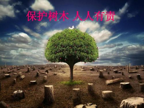 关于保护树木的谚语