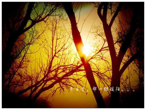 温暖的阳光隐喻