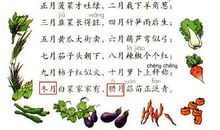 有趣的谚语英文